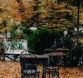 The Opalglade