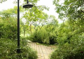 The Opalglade
