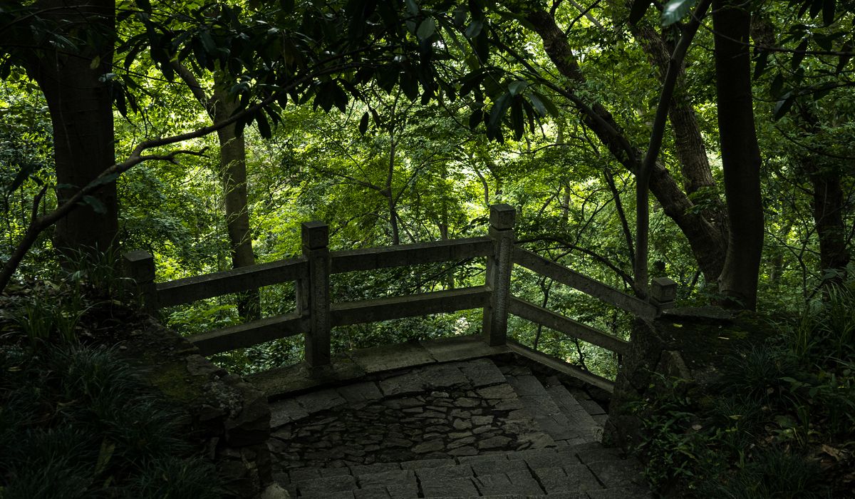 The Opalglade