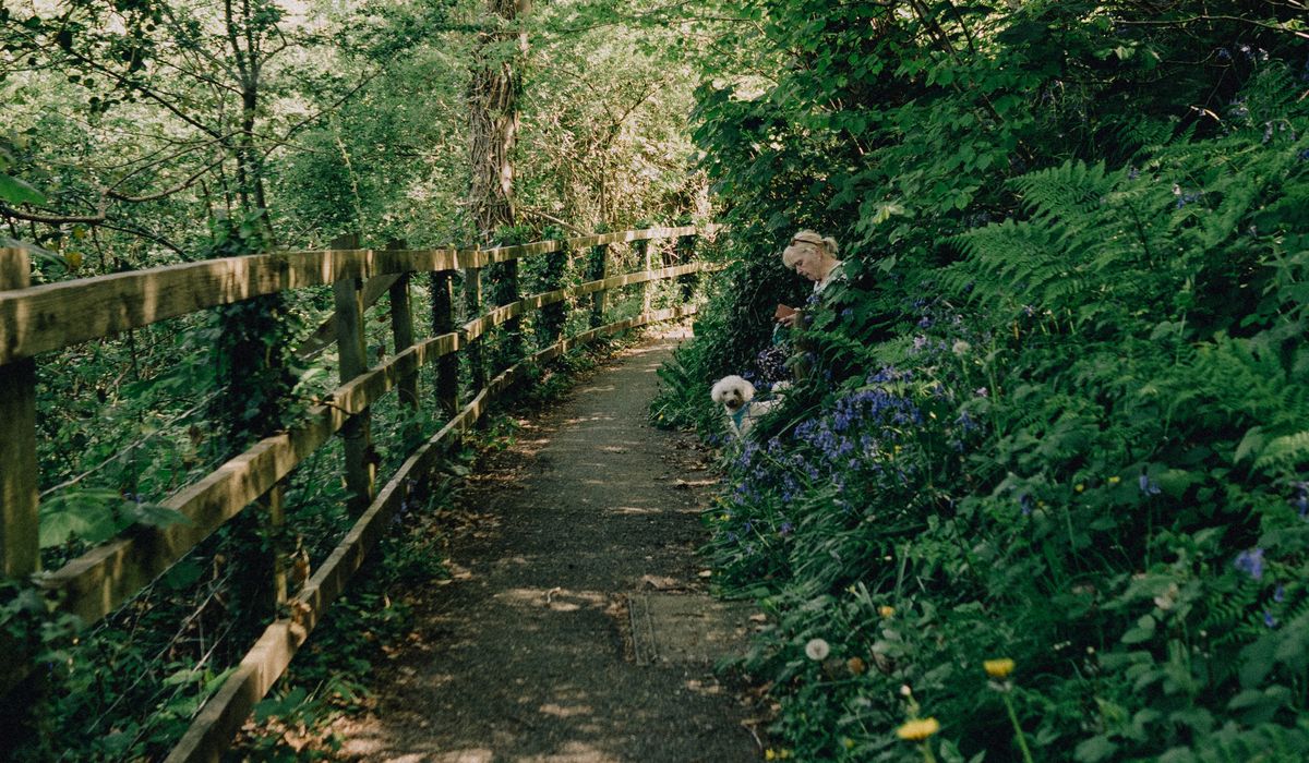 The Opalglade