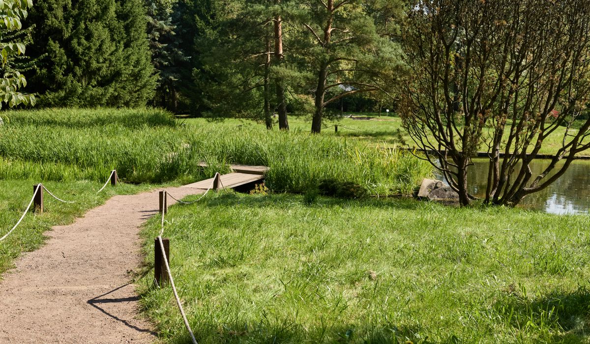 The Opalglade